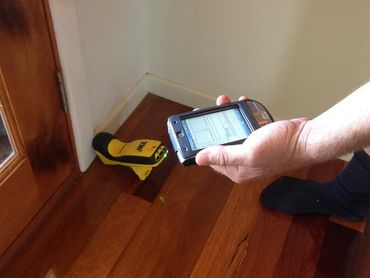 Hervey Bay pest inspections